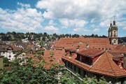 Freie Sicht: Von der Berneggstrasse blickt man auf den Dom mit dem Gallus-Relief zwischen den Dachziegeln (Bildmitte). Wo heute noch Büsche wachsen (Vordergrund), sind 17 Wohnungen geplant. (Bild: Roger Berhalter)