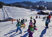 Neben dem gemeinsamen Winterticket für die Bergbahnen Wildhaus und die Toggenburg Bergbahnen soll es künftig auch zwei örtliche Ticket für jede der beiden Bahnen geben: Mit diesem Vorschlag wollen die «Wildhauser» die heutige Streitsituation entschärfen und den beiden Bahnen ermöglichen, aus ihrer jeweiligen Strategie mehr Ertrag zu generieren. (Bild: PD)