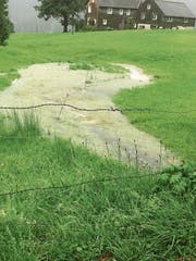Bei starken Regenfällen fliesst das Wasser über die Wiesen und gefährdet die Gebäude. (Bild: PD)