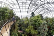 Vor fünf Jahren wurde der Baumkronenweg in der Masoala Halle eröffnet. (KEYSTONE/Walter Bieri)