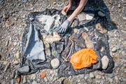 Bevor sie die Fundstücke in die App einträgt, sortiert Annette Jenny ihn auf einer Plane. (Bild: Urs Bucher)