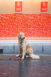 Pop-Up-Shops zielen heute bei weitem nicht mehr nur auf einen möglichste grossen Umsatz mit Billigangeboten ab. (Bild: Michaela Rohrer)