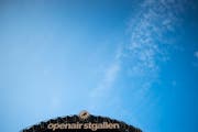 Der Sonnenschirm wird am diesjährigen Open Air St.Gallen wichtig sein - er kann dabei durchaus auch mal als Regenschutz dienen. (Bild: Urs Bucher/Archiv)