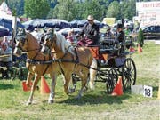 Urs Bicker mit Apollo XXVIII und Promilla du bann. (Bild: Ulrike Huber)