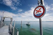 Bei der Schiffsanlegestelle im Hafen Güttingen zeigt die Tafel das Badeverbot an. (Bild: Donato Caspari)