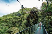Touristen bestaunen den Regenwald in Monteverde, einem Ort im bergigen Nordwesten Costa Ricas. (Bild: Simon Dannhauer/Getty (Monteverde, 25. Januar 2017))
