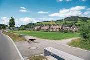 Wo heute noch frisches Gras wächst, wird bald ein Mehrfamilienhaus gebaut. Bild: Christian H. Hildebrand (Unterägeri, 27. Juni 2018)