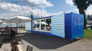 So wird der Seefrachtcontainer auf dem Luzerner Inseli aussehen. (Visualisierung: PD)