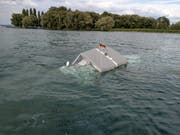 Verletzt wurde beim Einsatz niemand. (Bild: PD)