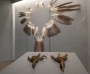 Die Ausstellung besteht aus vielen Unikaten, wie der über die Jahre gesammelten Federn. (Bild: PD)