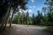 Auf diesem Areal im Wald in der Bilde findet jedes Jahr die Siebenschläfer-Party statt.(Bild: Reto Martin)