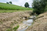 Der Furtbach in Oberbussnang führt wenig Wasser. Bild: Reto Martin