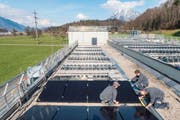 Arbeiter montieren die Panels auf dem Dach des EWO-Unterwerks. (Bild: PD)
