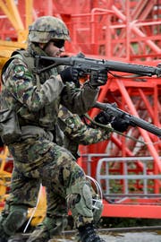 Der Flecktarn bisher: braun, schwarz, grün.