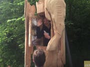 Der Performance-Künstler Abraham Poincheval winkt ein letztes Mal aus der Holzstatue heraus, bevor der Deckel für eine Woche zugeht. Zum Essen hat er Nüsse und Trockenfrüchte dabei. (Screenshot YouTube) (Bild: Screenshot YouTube)