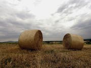 Ein Heuballen setzte sich in Bewegung und kam auf einem Bahngleis zum Stillstand. (Bild: Keystone/AP/WINFRIED ROTHERMEL)