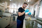 Oberflächentechniker Luan Duzhmani hat seine Lehre bei der Silbag AG in Luzern absolviert. (Bild: Corinne Glanzmann, 4. Juni 2018)