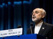 Ist Irans Vize-Präsident und sitzt auch der iranischen Atomenergiebehörde vor: Ali Akbar Salehi. (Bild: Keystone/EPA/CHRISTIAN BRUNA)