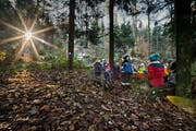 Waldspielgruppen sind schon länger verbreitet - im Bild eine Gruppe im Luzerner Bireggwald. Wald-Kindergärten hingegen sind noch ungewohnt. Archivbild LZ