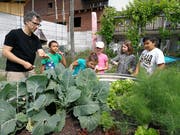 Auf dem Bauernhof bieten sich zahlreiche Möglichkeiten, den Schulstoff erlebbar zu machen. Achim Arn zeigt den Schülern die verschiedenen Pflanzen im Garten der Familie Fitze. (Bilder: Gianni Amstutz)
