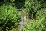 Der Murg-Auen-Park in Frauenfeld ist im neuen Exkursionsführer "Wege durch die Wasserwelt" des Hydrologischen Atlasses der Schweiz zu finden. (Bild: Reto Martin)