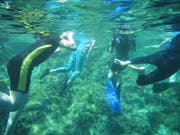 Besonders spannend war es, die fantastische Welt unter Wasser zu entdecken.