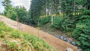 Um dieses Bachbett aufschütten zu lassen, braucht die Gemeinde eine Bewilligung des Kantons. (Bild: Urs Bucher)