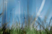 Landbesitzer werden bei Einzonungen künftig zur Kasse gebeten. (Bild: Urs Jaudas)