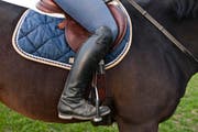 Der tödliche Unfall ereignete sich bei einem Reitausflug. (Bild: Archiv/Keystone (Symbolbild))