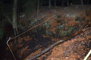 Der brennende Stamm rollte das Waldbord hinunter. (Bild: Kapo AR)
