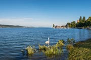 Bodman am westlichen Ende des Überlinger Sees: Der flache Boden dürfte namensgebend gewesen sein, auch für den Bodensee. (Bild: Markus Keller, Keystone)