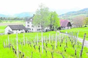 Das Altersheim Forst wird mehr als ein halbes Jahr früher geschlossen als geplant. (Bild: Max Tinner)