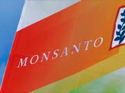   See hundreds of lawsuits Face cancer patients: The seed manufacturer Monsanto, which is now part of the Bayer group. (Photo: KEYSTONE / AP / SETH PERLMAN) 