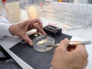 Den Spitzenplatz in der weltweiten Innovations-Rangliste verdankt die Schweiz unter anderem den hohen Investitionen in Forschung und Entwicklung. (Bild: Keystone/MARTIAL TREZZINI)