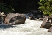 Gewässerschutzräume - im Bild der Alpbach in Erstfeld - dienen unter anderem dem Hochwasserschutz. (Bild: Sven Aregger, Juli 2013)