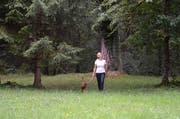 Der Wald bietet unzähligen Pflanzen und Tieren eine Heimat und ist auch für Menschen ein wichtiger Ort der Erholung. (Bild: Jessica Nigg)