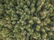 Der Wald dient dem Menschen unter anderem als Erholungsraum. Im Kanton Luzern macht der Wald rund 27 Prozent der Gesamtfläche aus. (Bild: Pius Amrein, Ruswil, 23. Oktober 2017)