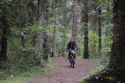 Der Wald ist der ideale Ort, um die Batterien wieder für den stressigen Alltag zu füllen. (Bild: Jessica Nigg)