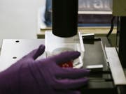 Weil sie möglicherweise mit einer krebserregenden Substanz verunreinigt sind, rufen vier Schweizer Firmen valsartanhaltige Arzneimittel vorsorglich zurück. (Bild: KEYSTONE/CHRISTIAN BEUTLER)