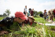 Die Kinder der Pfadi Winkelried Stans-Ennetmoos bei einem Lagerspiel. (Bild: Jakob Ineichen, Merlischachen 10. Juli 2018).
