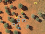 Eine mit künstlicher Intelligenz analysierte Luftaufnahme: Tiere sind blau eingerahmt, gelb gekennzeichnet sind Landschaftselemente. (Bild: Wageningen University/Devis Tuia)