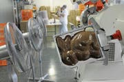 Der Luzerner Schokoladenhersteller Schönenberger ist auf Marken- und Werbeschokolade spezialisiert und wurde im April von Heidi Chocolat aus Zug übernommen. (Bild: Boris Bürgisser (Reussbühl, 25. März 2009))