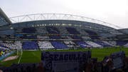 Möwen überall - das Wappentier ist bei Brighton omnipräsent. (Bild: Ruben Schönenberger)