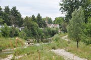Der Murg-Auen-Park ist ein beliebtes Naherholungsgebiet in der Stadt Frauenfeld.