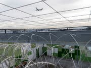 Schwangere sollten ab der 28. Schwangerschaftswoche nicht mehr mit dem Flugzeug ausgeschafft werden. Dies empfiehlt die Kommission zur Verhütung von Folter. (Bild: KEYSTONE/CHRISTIAN BEUTLER)