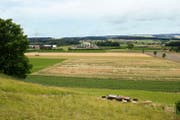 Die geplante Halle (im Hintergrund) in einer weiteren Ansicht. (Visualisierung: pd)