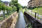 Blick auf die kanalisierte Ron von der Perlenstrasse-Brücke aus. (Bild: Manuela Jans-Koch (Root, 12. Juli 2018)