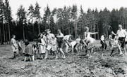 Im Schuljahr 1942/43: Aadorfer Sekundarschüler säubern das «Ried» von Wurzelwerk. Rechts im Bild Hansjakob Altenburger. (Bild: PD)