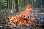 Die Waldbrandgefahr ist aufgrund der Trockenheit gross. (Symbolbild: Urs Bucher)