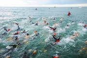 Der Triathlon findet am Sonntag zum zweiten Mal in Rorschach statt und lockt mehrere hundert Sportler an. (Bild: PD)